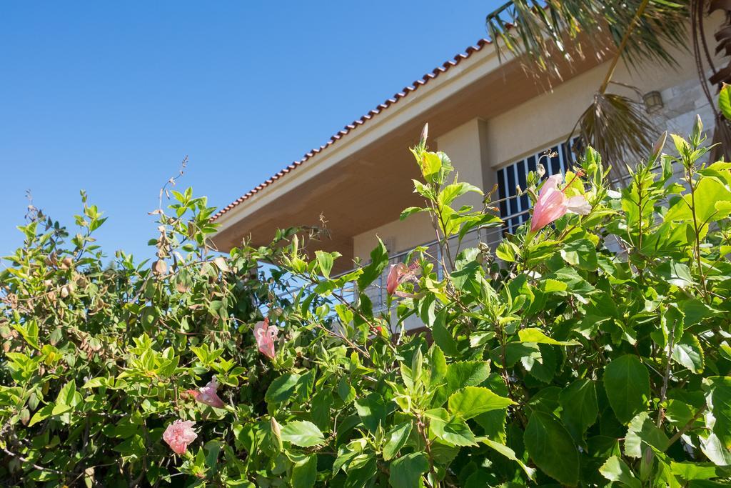 Sunset Beach House Kato Alepokhorion Exterior foto